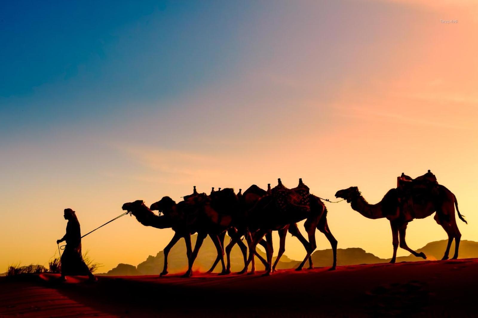 Scarlet Luxury Camp Wadi Rum Bagian luar foto
