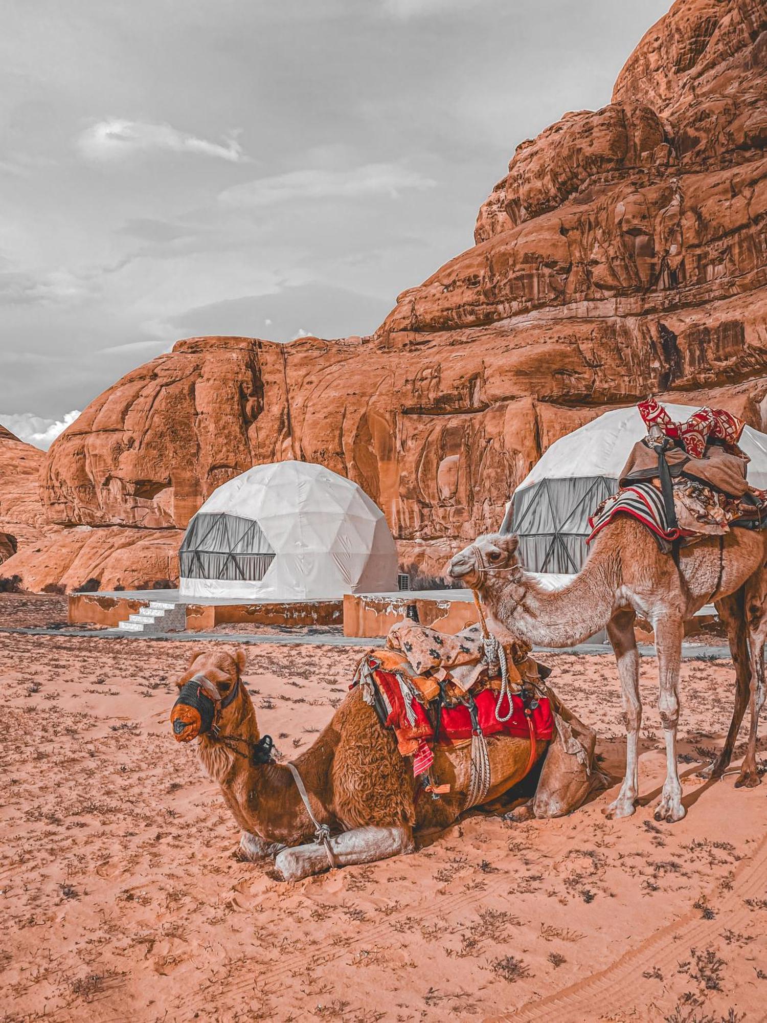 Scarlet Luxury Camp Wadi Rum Bagian luar foto